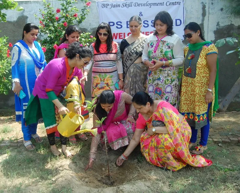 Green Plantation photo
