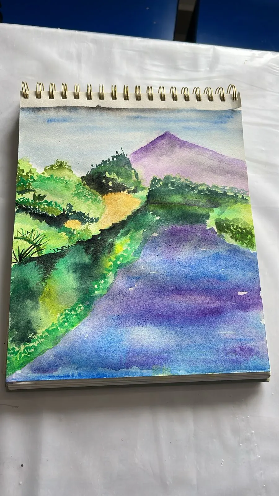 Painting & Sketching photo