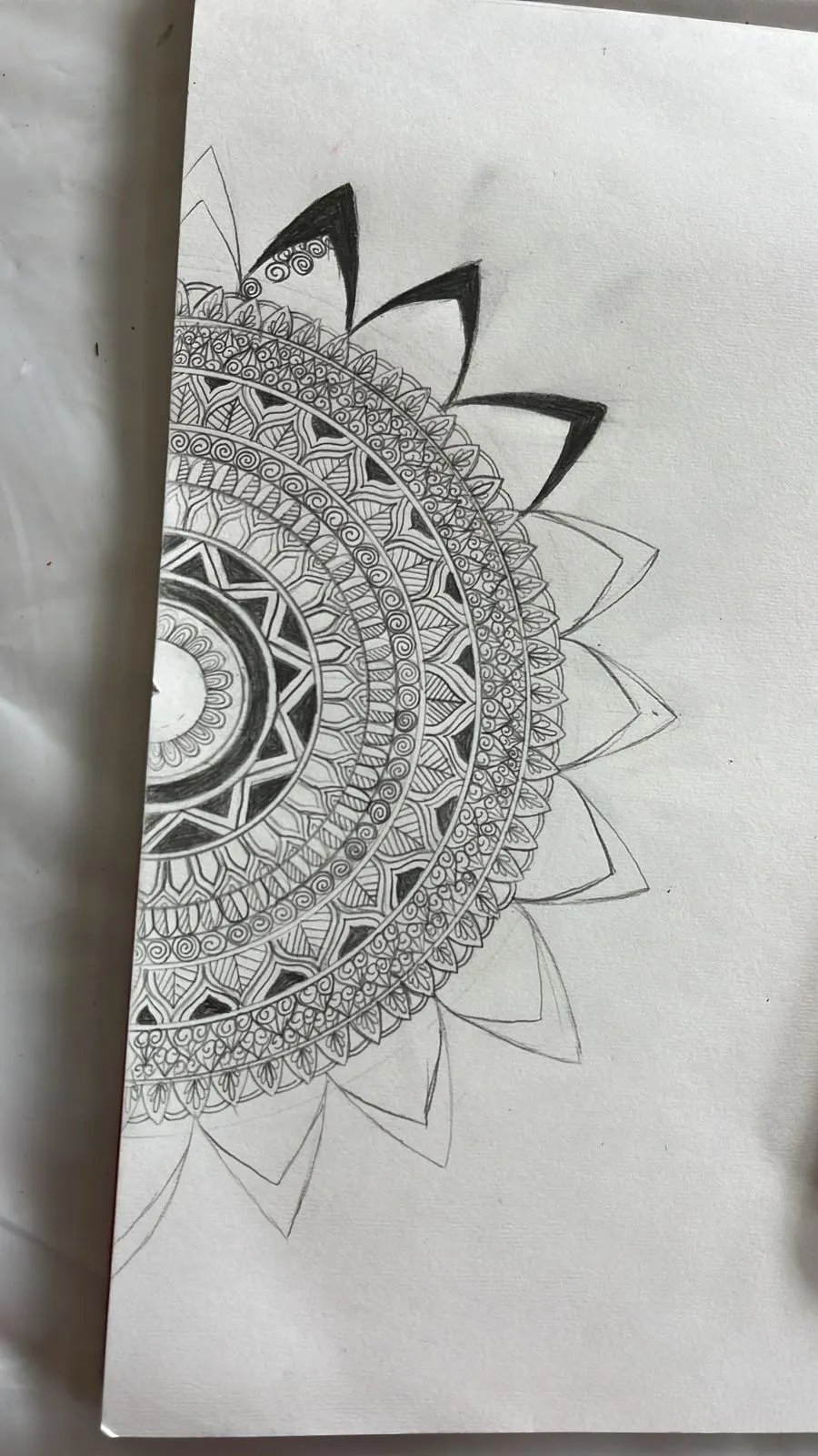 Painting & Sketching photo