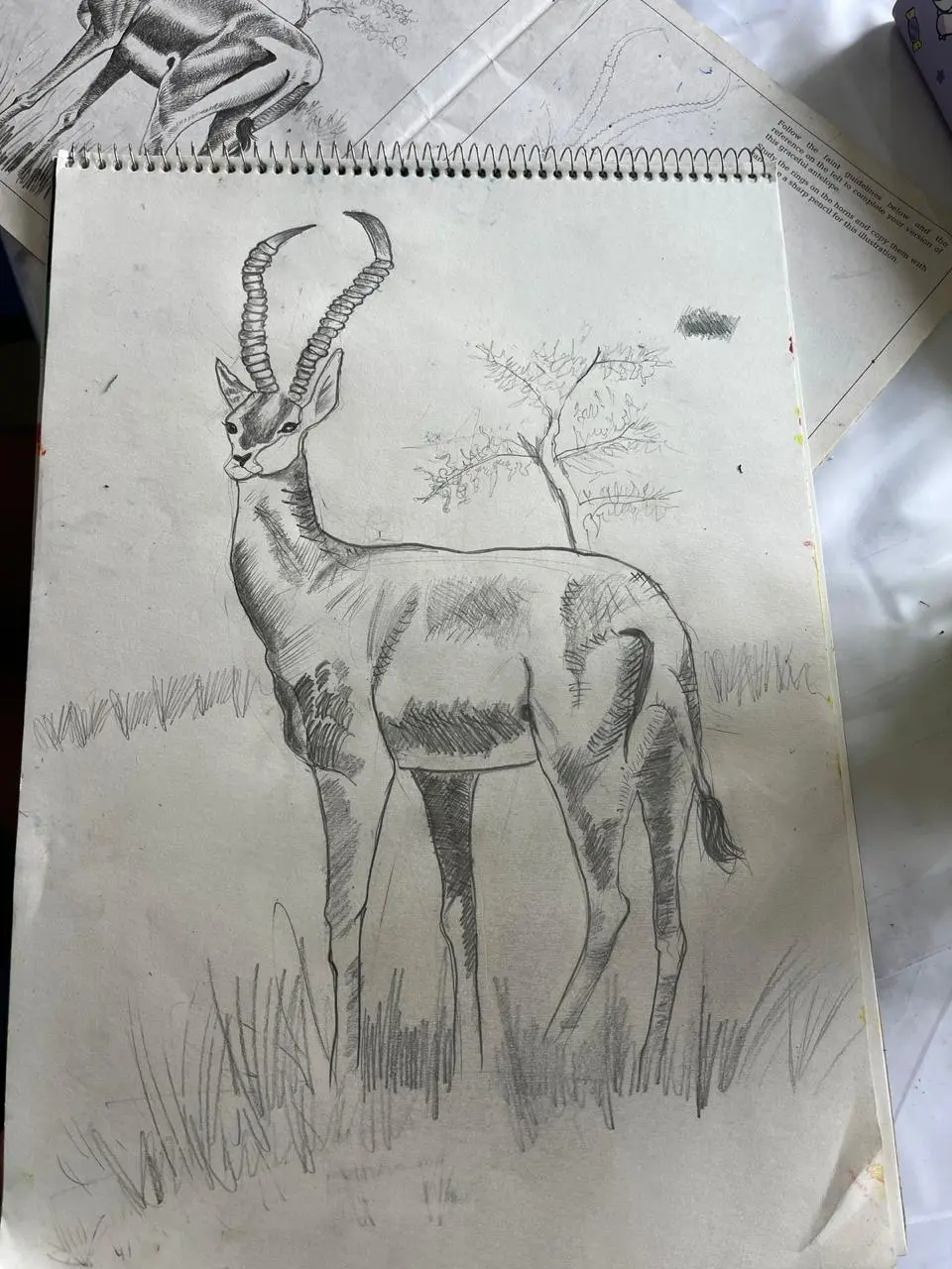 Painting & Sketching photo