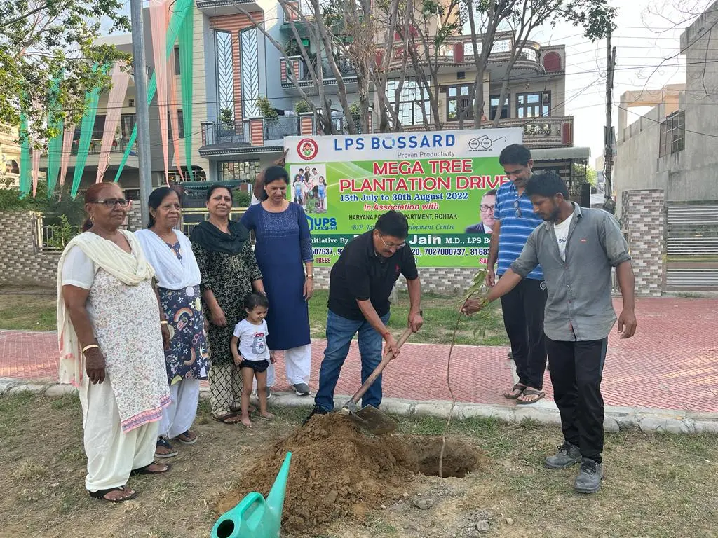 Plantation Drive